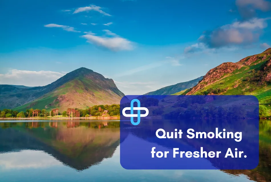 Fresh-Air